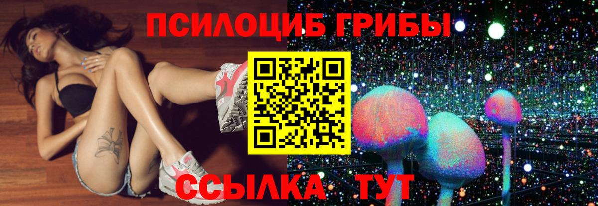 Псилоцибиновые грибы ЛСД  Псилоцибиновые грибы Psilocybe  Вход с VPN  Ленинск-Кузнецкий 